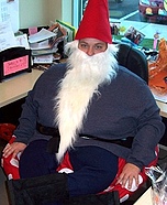 Gnome on a Toadstool Costume