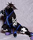 Anti-Form Sora Costume