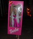 Homemade Barbie in the Box Costume