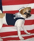 U.S. Navy Homemade Costume