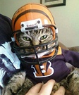 The Bengals NEW MASCOT Costume