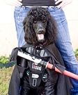 Darth Vader Costume for Dogs