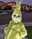 The Grinch Halloween Costume
