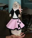 Doo Wop Pet Costume