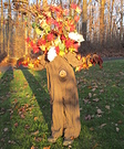 Fall Tree Costume