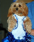Go Cowboys! Costume