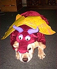 Red Dragon Costume