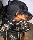 Ninja Costume