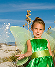 Fairy costume
