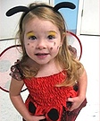 Homemade Lady bug Costume