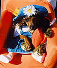 Little Girl Dog Costume