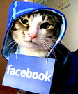 Cat in Facebook Hoodie