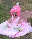 Homemade Fairy Costume