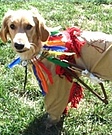 Little Indian Costume