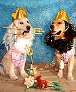 Gods of the Sea Costumes
