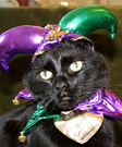 Jester Cat Costume