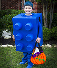 The Blue Lego Costume