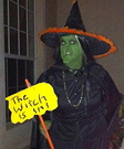 Home made Witch costume