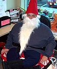 Gnome on a Toadstool Costume