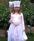 Tooth Fairy Costume