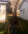 Walking Stick costume
