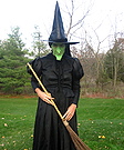 Wicked Witch of the West Halloween Costume