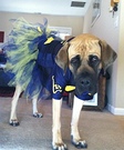 Homemade Cheerleader Costume