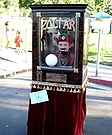 Zoltar Costume