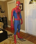 The Amazing Spiderman Costume 