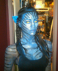 Avatar Costume