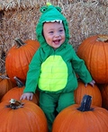 Baby Dinosaur Costume