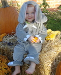 Baby Elephant Costume