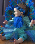 Baby Peacock Costume