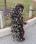 Baby Porcupine Costume