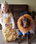 Beauty and the Beast Costume