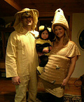 Beehive, little Bee and Beekeper Costume