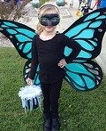 Big Winged Butterfly Costume
