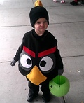 Black Angry Bird Costume