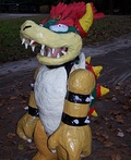 Bowser Costume