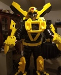 Bumblebee Costume