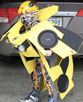 Bumblebee Costume