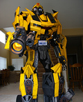 Bumblebee Costume
