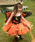 Butterfly Costume