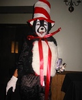 Cat in the Hat Costume