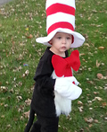 Cat in the Hat Costume