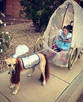 Cinderella and her Carriage Costume