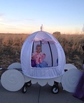 Cinderella's Carriage Costume