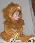 Cowardly Lion Costume