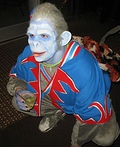 Nikko Winged Monkey Costume