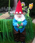 Gnome Sweet Gnome Costume